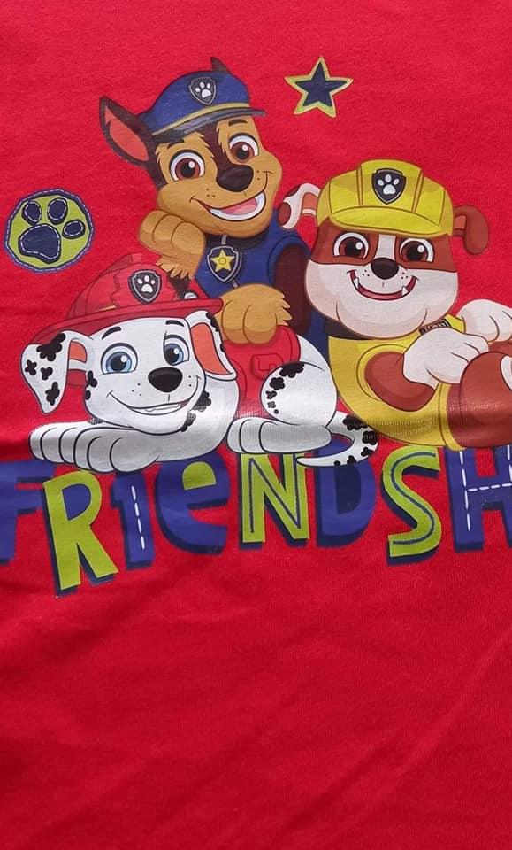 Kids Paw Patrol Short Sleeved T-shirt