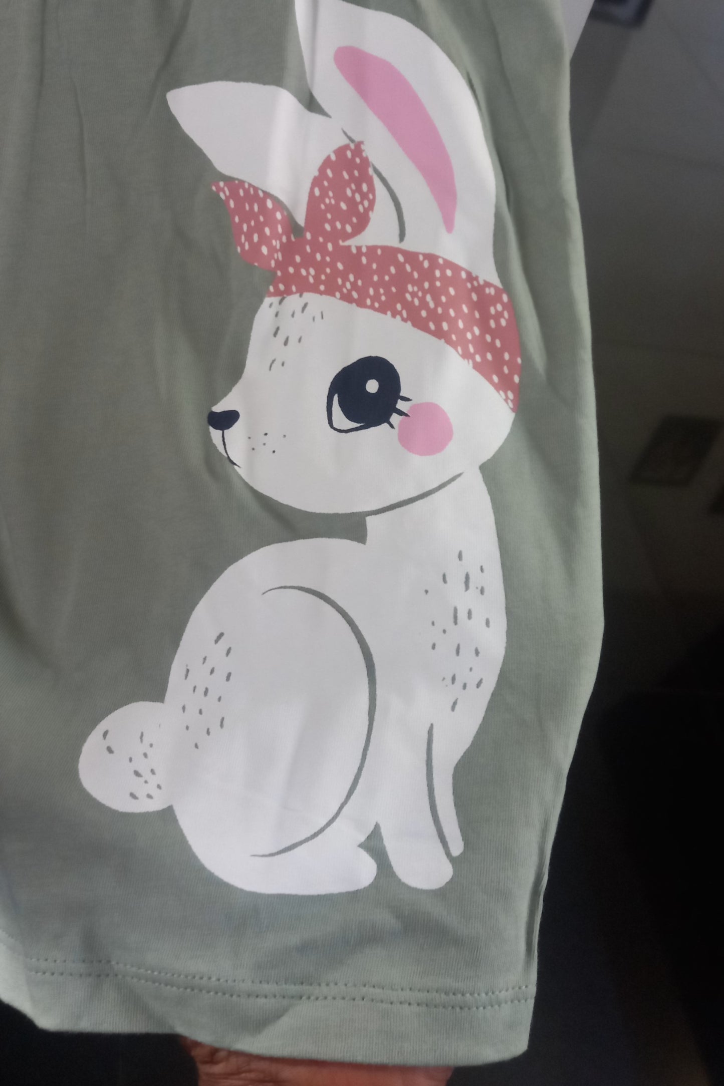 Green Rabbit Print H&M Kids Dress