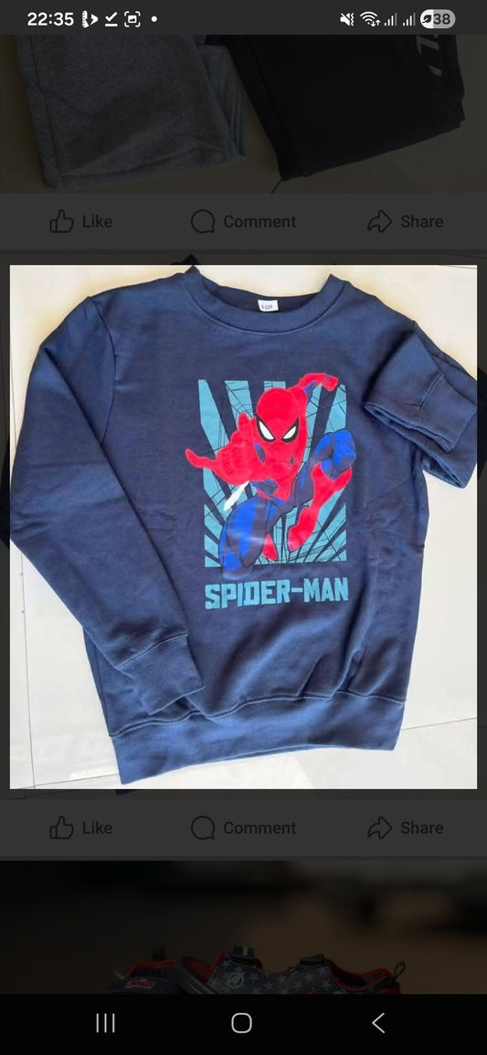 Kids Spider Man Print Sweatshirt